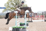 557-William.Fox-Pitt-JABBAKE portfolio