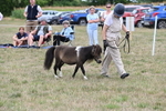 WJ6_5677