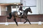 SBM_000381