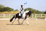 SBM_008627