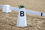 SBM_000241
