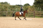 SBM_000908