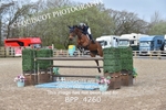 CLASS 10 RHS Foxhunter Championship Qualifier portfolio