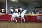 SBM_15897