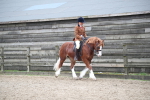 SBM_007334