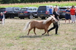 WJ6_6945