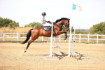 SBM_000989