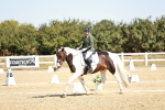 SBM_017452
