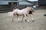 SBM_006415