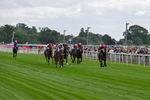130626-Race 1-Dunkeld Dreamer-0507