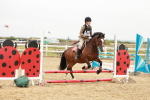 SBM_007310
