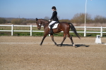SBM_001206