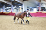 SBM_00463