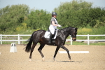 SBM_008833