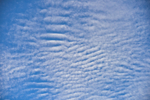 ACP_4749-1