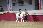 SBM_06960