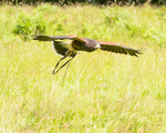 20140705-3K8A3096