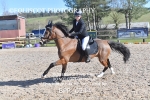 BPP_6244