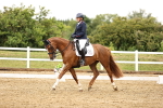SBM_005023