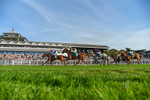 Race 3 18.43pm Heineken 0% Handicap portfolio