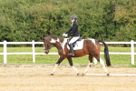 SBM_001511