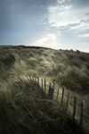 Summer breeze