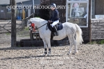 BPP_3288
