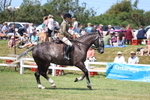 3E7A9492