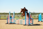 SBM_000235