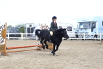 SBM_13398