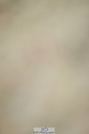 230630A-123700-01896