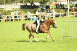SBM_44834
