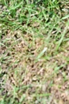 SBM_19479