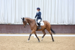 SBM_003953