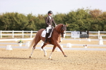 SBM_016864