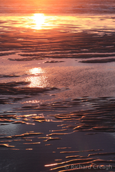 Sand Sunset