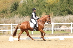 SBM_018372