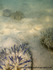RS030: Upside-down jellyfish
