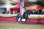 SBM_15902