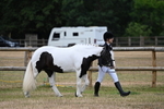 WJ6_4143