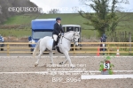 BPP_8964