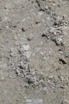 250823A-122734-28836