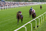 190826-Race 3-Maltese Cross-0340