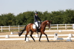 SBM_006438