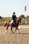 SBM_007043
