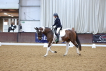 SBM_002446