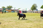 SBM_17216