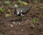 20100501-WE 276