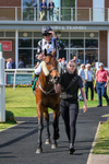 Race 5 3.55pm Alison And Andrew Richardson Ruby Anniversary Handicap portfolio