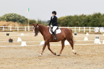 SBM_001290